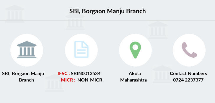 SBI Borgaon Manju IFSC Code SBIN0013534