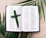 Palm Sunday: The Meaning of Palm Leaves in the Worship
