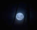 Significance and Benefits of Purnima Vrat
