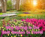 Why Spring Is Perfect for Slow and Mindful Travel 