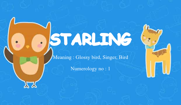 Starling Name Meaning