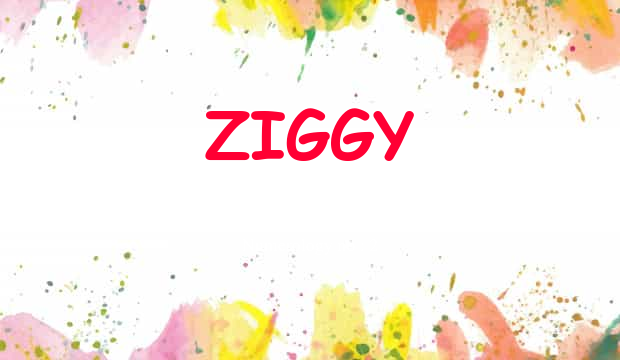 Ziggy Name Meaning