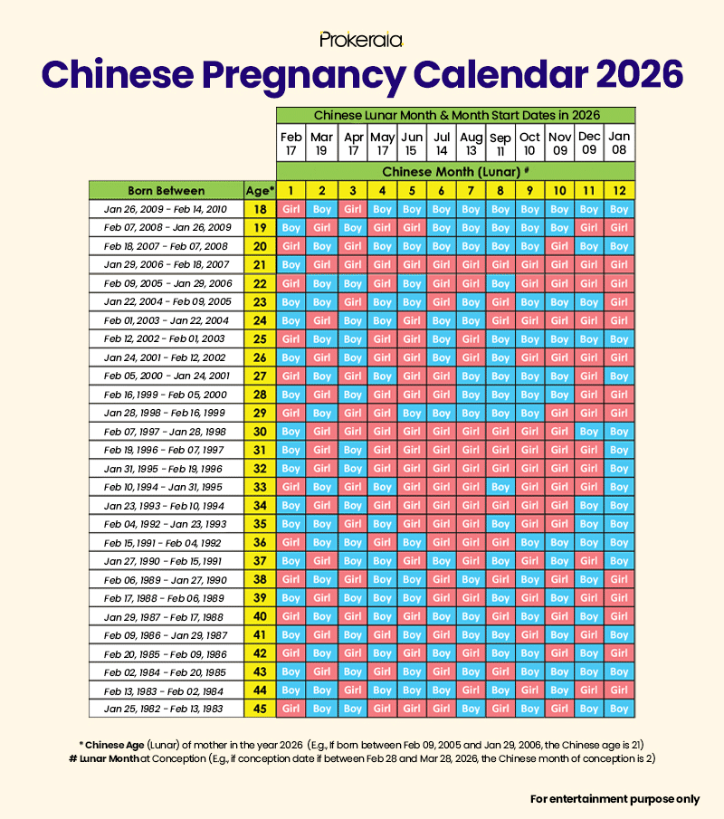 Chinese birth calendar 2026