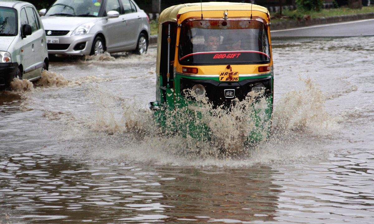 Delhi auto rickshaw driver killed as tree falls on vehicle - Vimarsana News