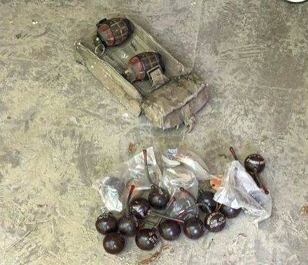10 country-made hand grenades found in Delhi, one held - Vimarsana News