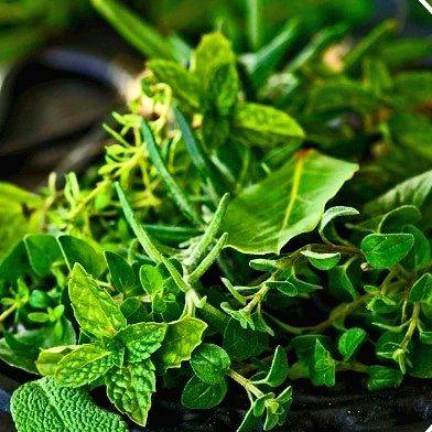Lucknow reports its first 'green theft' - Vimarsana News