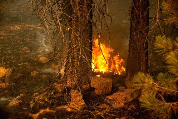 Arizona issues red flag wildfire warning - Vimarsana News