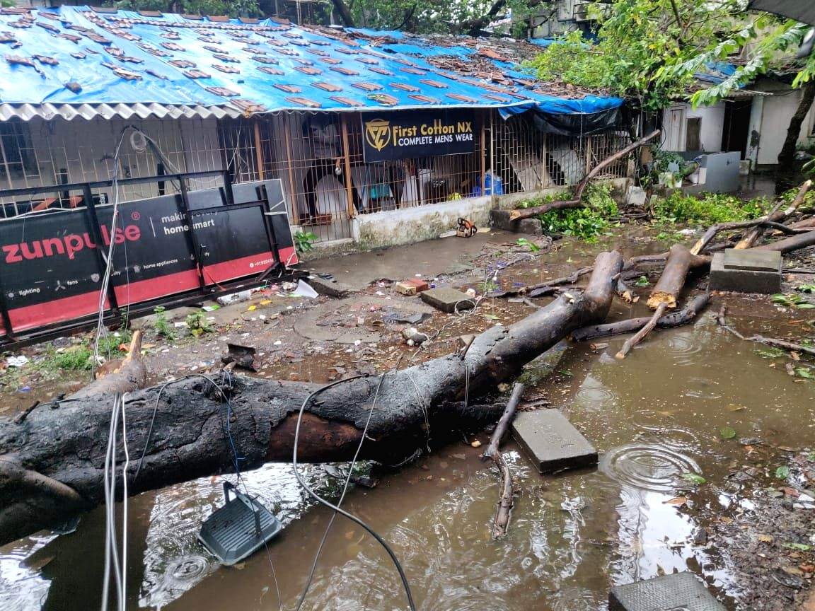 2 killed as heavy rains lash Mumbai, public transport unaffected - Vimarsana News