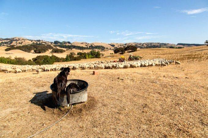 2022 becomes New Zealand's warmest year on record - Vimarsana News