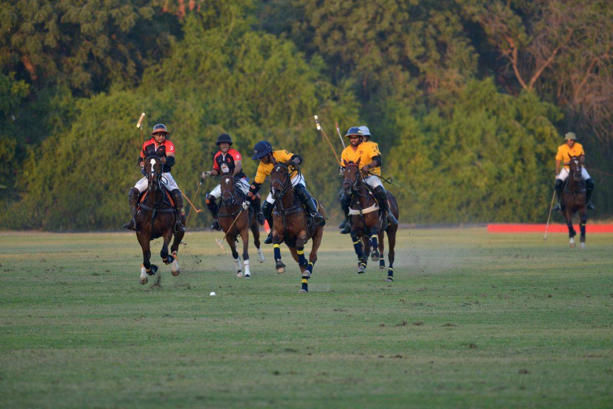 24th Jodhpur Polo season: The blue city braces for its annual polo extravaganza! - Vimarsana News