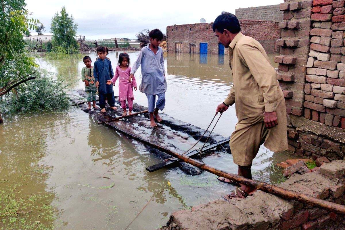 Catastrophic floods continue to ravage Pakistan - Vimarsana News