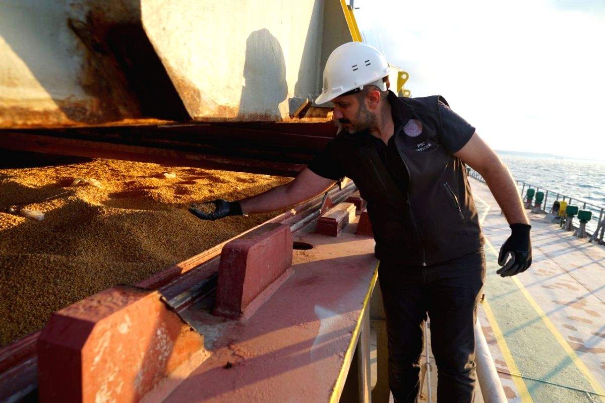 Turkey presses for grain deal to bolster influence - Vimarsana News