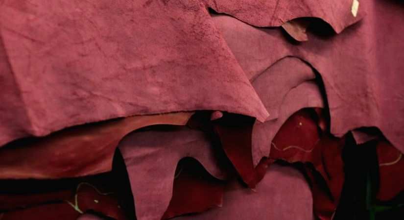 32 designers pledge to be leather-free ahead of World Fashion Day - Vimarsana News