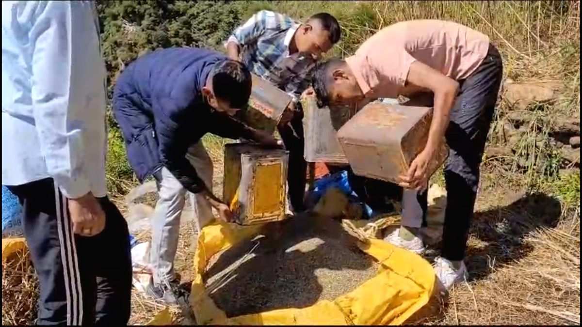 34 held in Kullu for cannabis cultivation - Vimarsana News