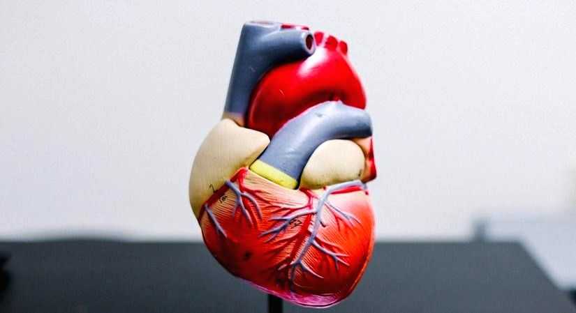 4 myths about heart failure - Vimarsana News