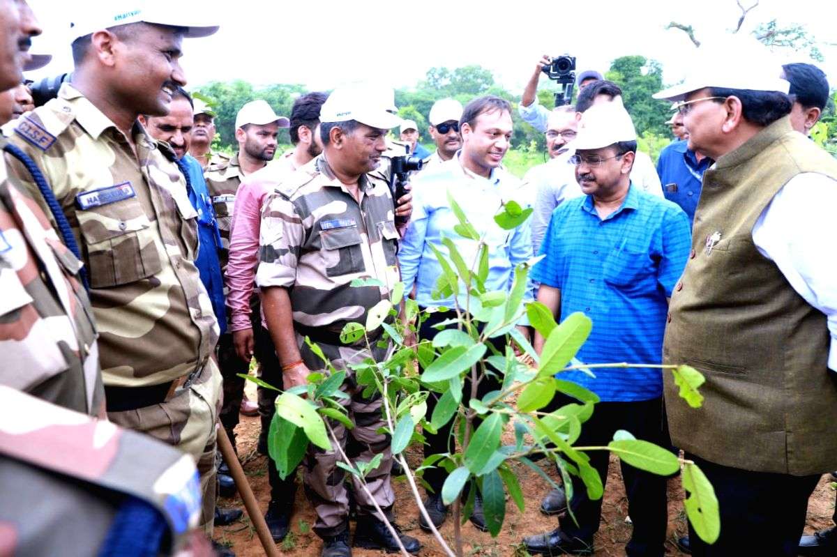 5.55 L saplings planted during Van Mahotsav in Delhi: L-G - Vimarsana News