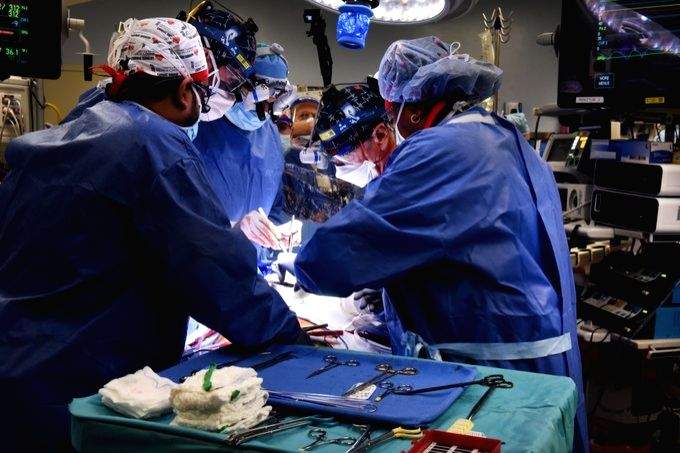 Can animal to human transplantation turn successful in near future? - Vimarsana News