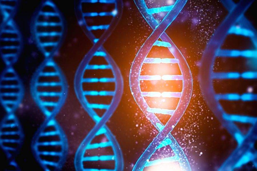 64 full human genomes sequenced at high-res - Vimarsana News