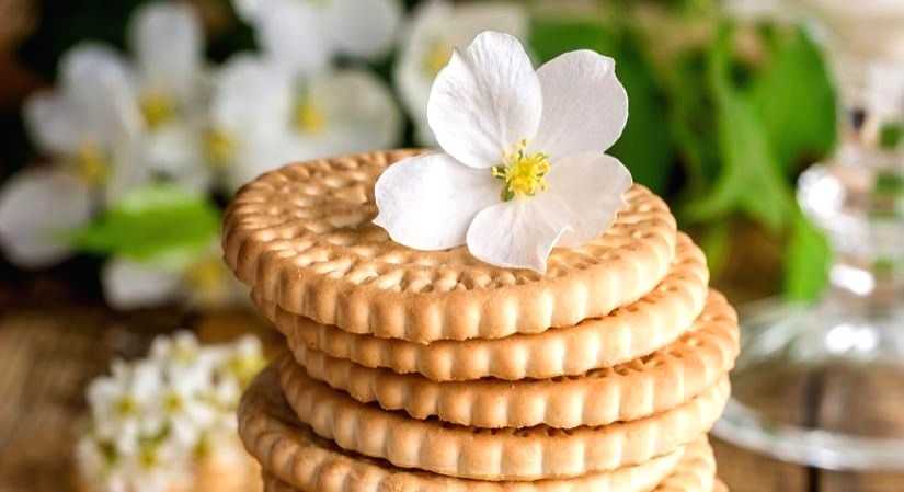 7 Healthy Snacks For Your Next Road Trip - Vimarsana News