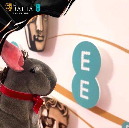76th BAFTA: Jenny the Donkey from 'The Banshees of Inisherin' makes surprise red carpet appearance - Vimarsana News