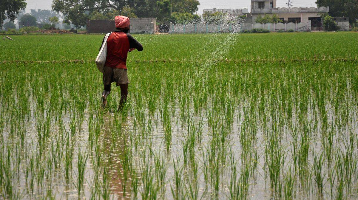 After Centre's protocols applied, Maha reports zero pesticide-related deaths - Vimarsana News