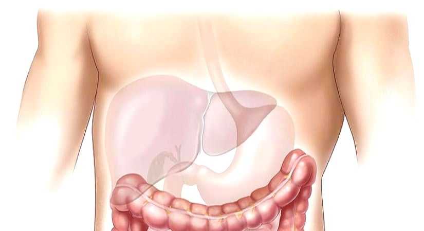 Liver diseases in kids up due to junk food, sugar consumption - Vimarsana News