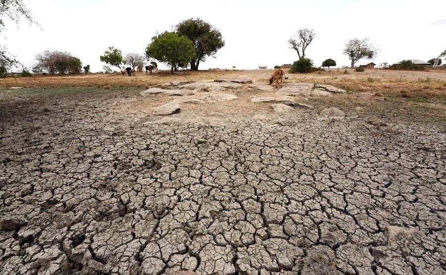 Turkey hit by severe drought amid lack of rain - Vimarsana News