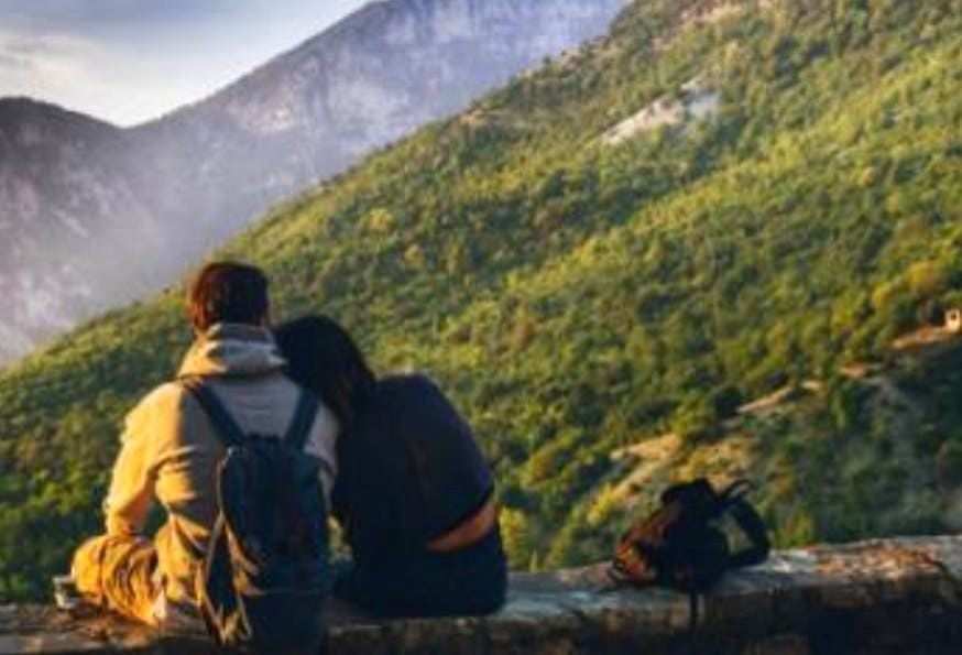 A rise in pet-friendly and sustainable travel options - Vimarsana News