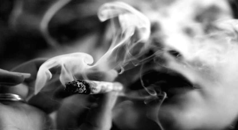 Excessive TV viewing in childhood can later lead to smoking, gambling: Study - Vimarsana News