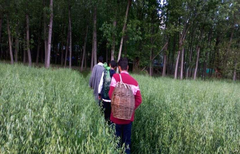 J&K govt sets up panel to identify foreigners staying illegally in UT - Vimarsana News