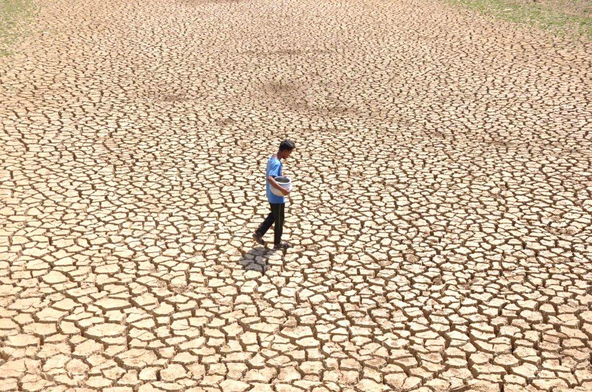 'Pray for rain': Bihar Agriculture Minister tells BJP leaders - Vimarsana News