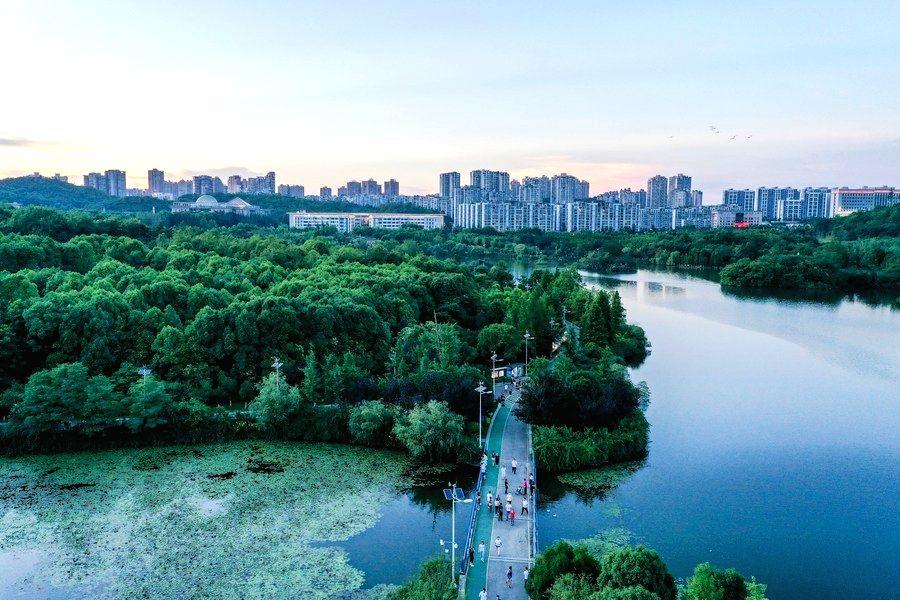 Study weighs up economic benefits of major transport projects - Vimarsana News