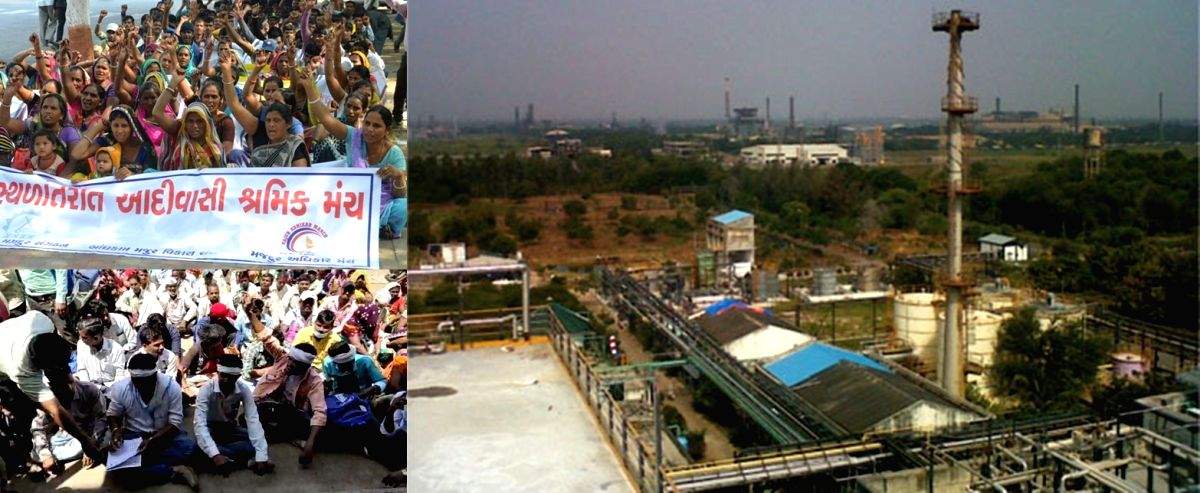 After big win in tribal Gujarat, BJP pushes major employment plan - Vimarsana News