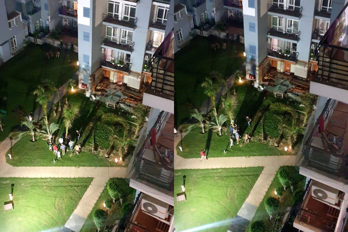 Noida society's encroached portions demolished and defied - Vimarsana News
