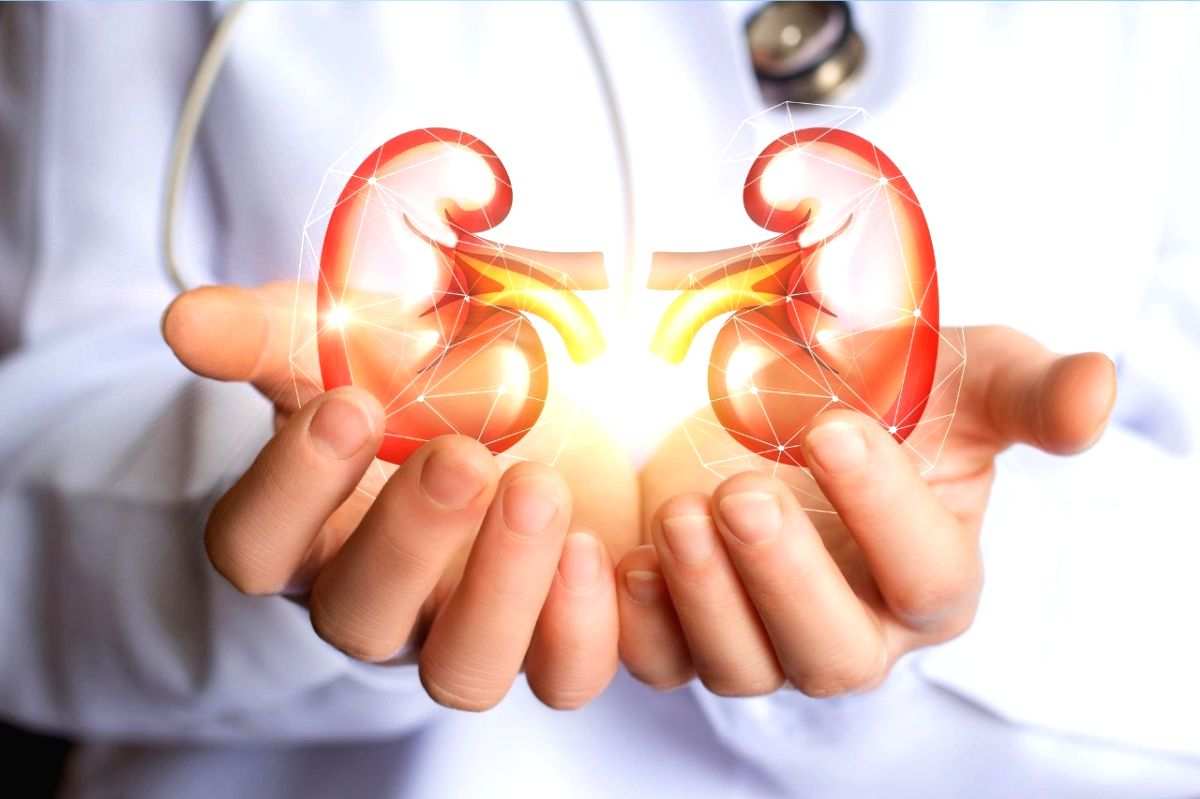 Weight-linked kidney ailments increased since Covid outbreak - Vimarsana News