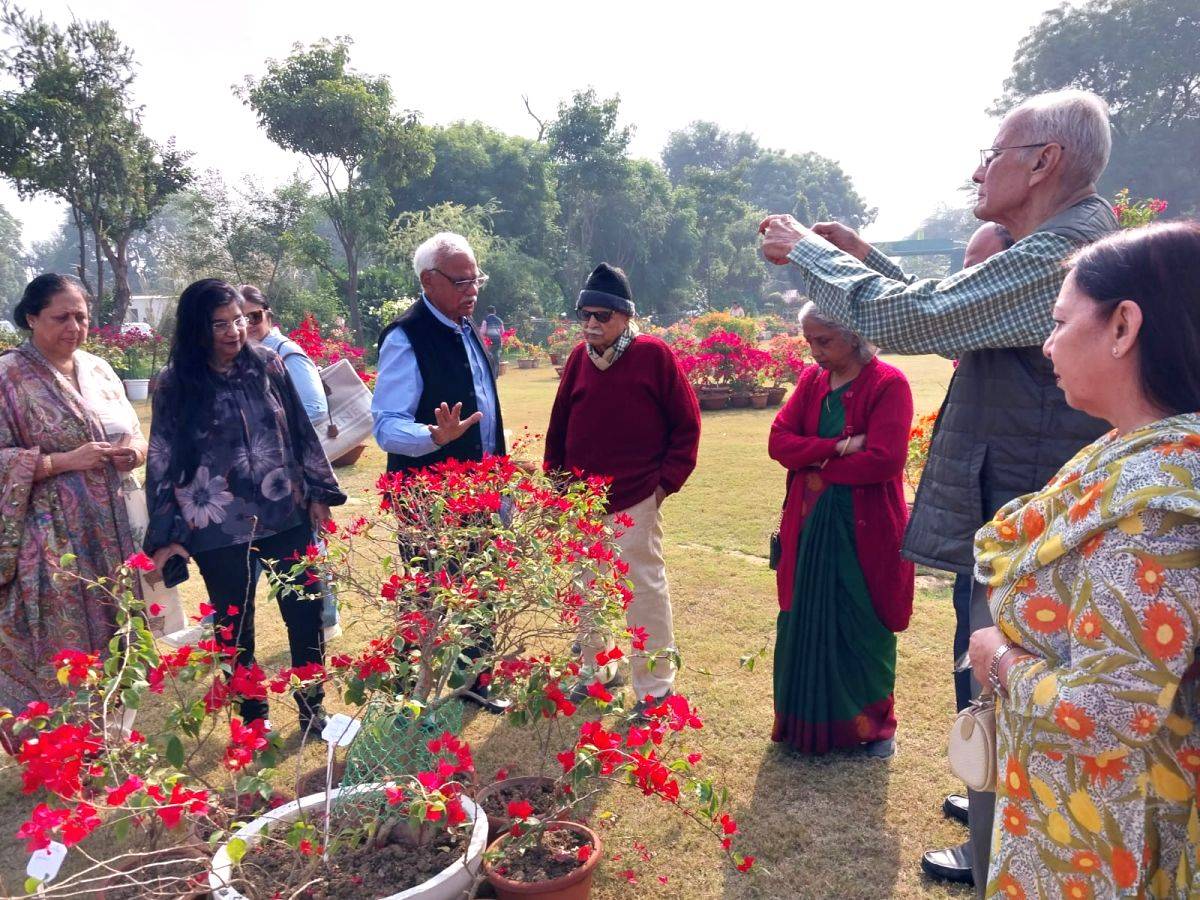 Agra to become 'bougainvillea capital' of India - Vimarsana News