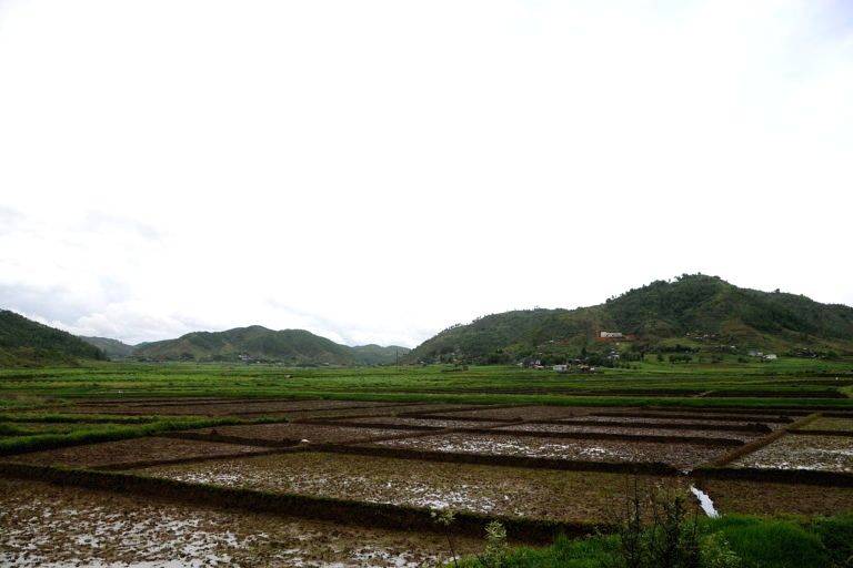 Agri-tech startup fund, increased credit in Budget to boost agriculture sector - Vimarsana News