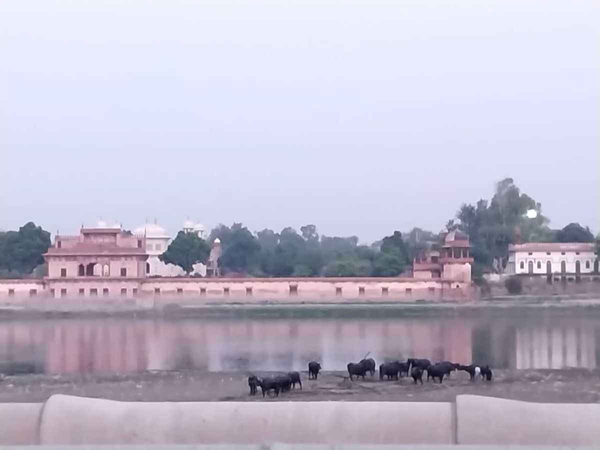Ahead of Yogi's visit, river activists raise pitch for barrage on Yamuna to protect Taj - Vimarsana News