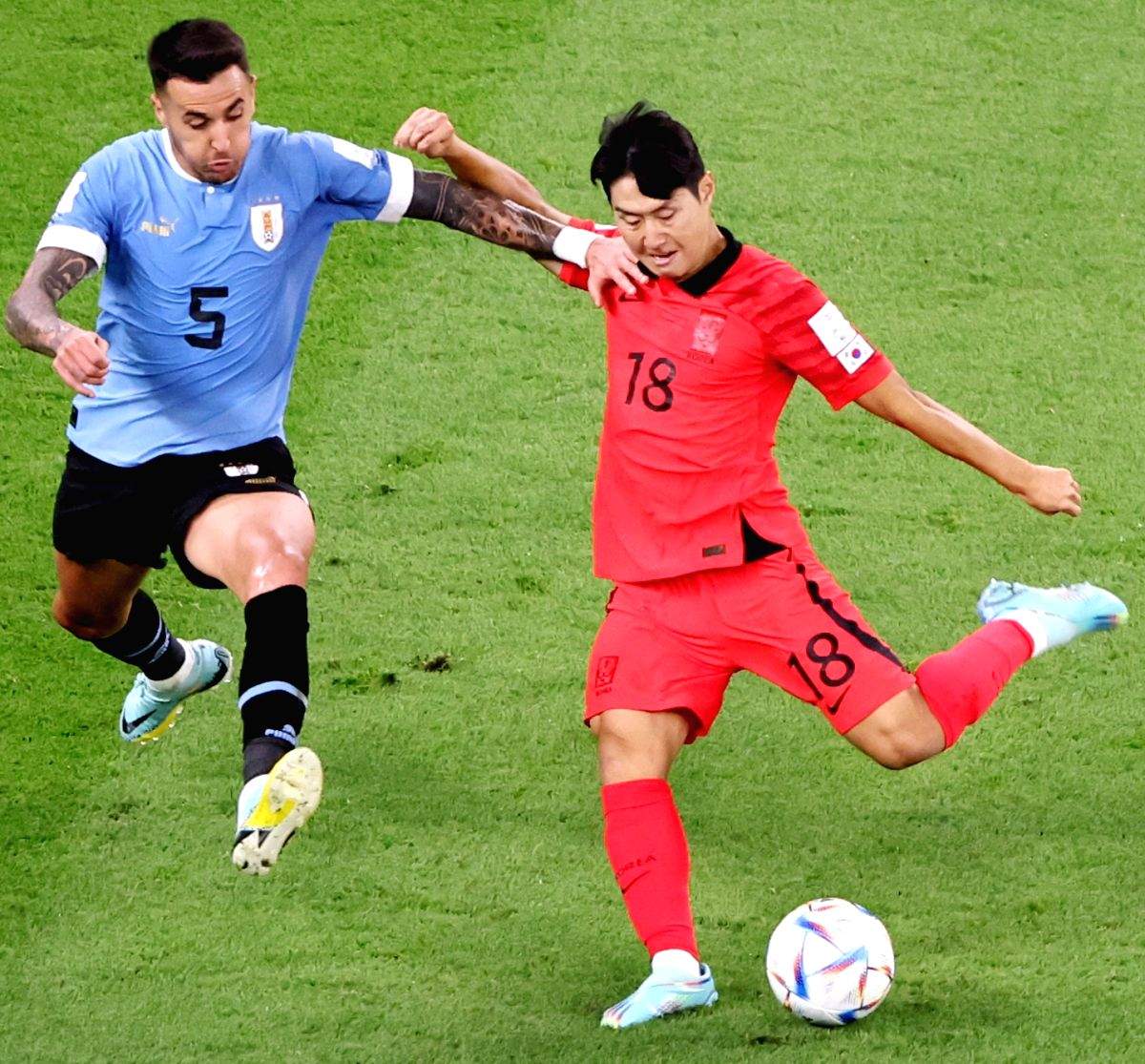 World Cup 2022: Uruguay, South Korea play out goalless draw in Group H opener - Vimarsana News