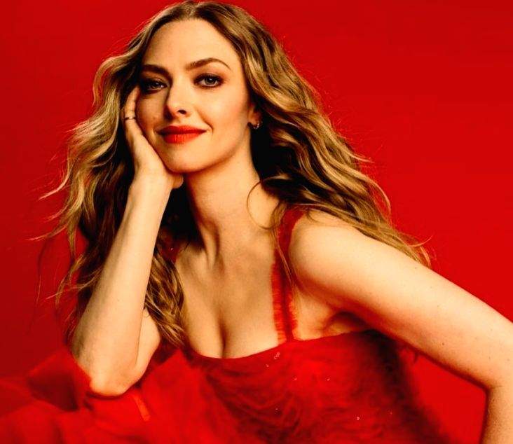 Amanda Seyfried reveals her biggest 'beauty fail' - Vimarsana News