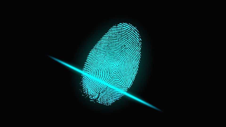 Collecting biometrics of illegal Myanmar immigrants in Manipur begins - Vimarsana News