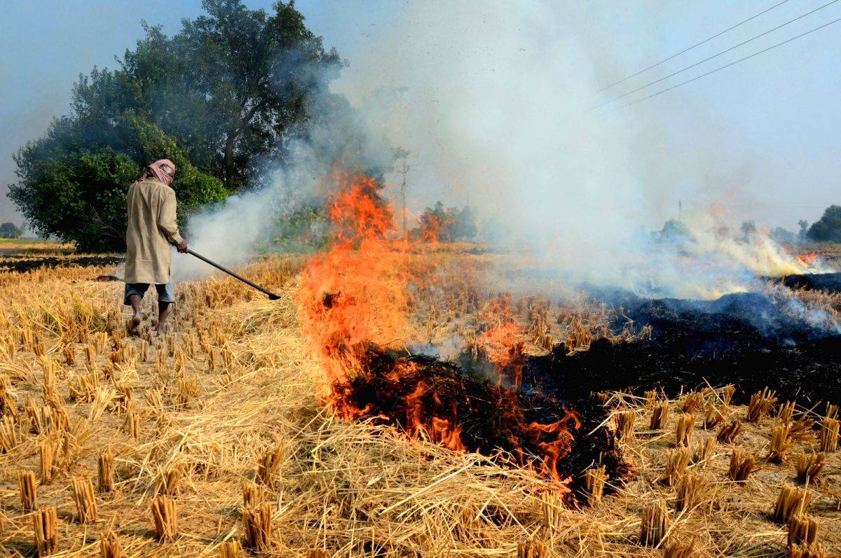 Just ahead of Delhi's smog season, farmers of Punjab & Haryana start setting fields on fire - Vimarsana News