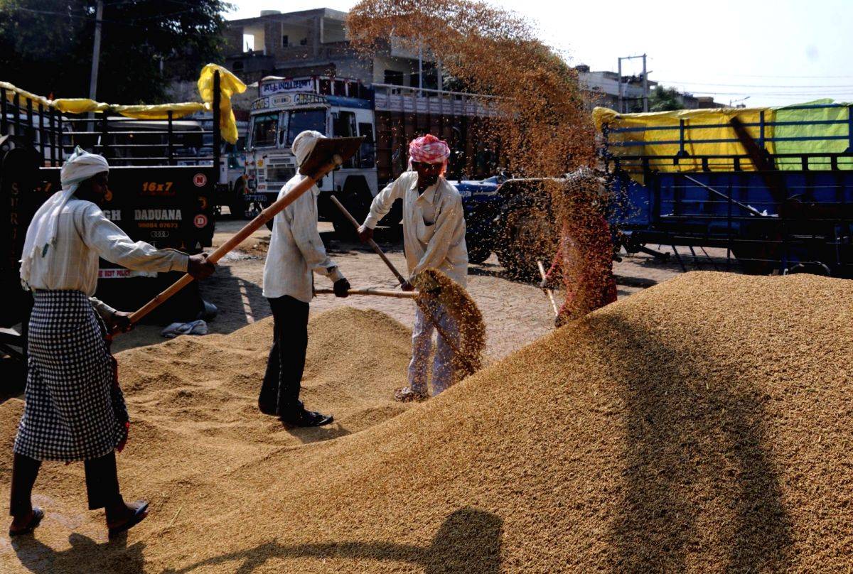 Wheat exports gets fresh push as war unsettles global supply dynamics - Vimarsana News