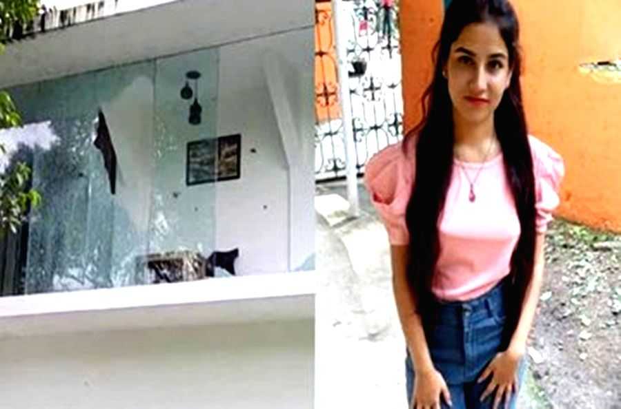 Ankita Bhandari murder case mentioned before SC, plea criticises U'khand's revenue police system - Vimarsana News