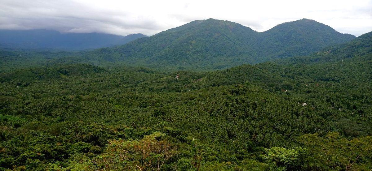 Another draft notification for Western Ghats sensitive area sans Kerala - Vimarsana News