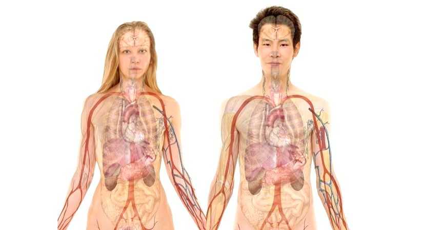 Women at 25% higher risk of heart diseases(Sep 29 is World Heart Day) - Vimarsana News