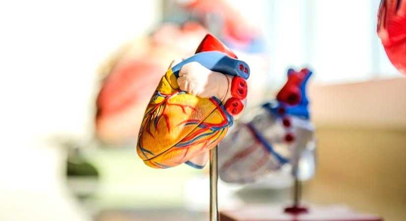Covid vaccine technique shows promise for treating heart disease - Vimarsana News