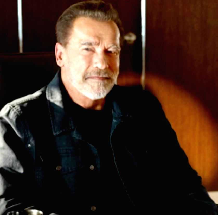 Arnold Schwarzenegger slapped with lawsuit by woman left 'permanently disabled' after car crash - Vimarsana News