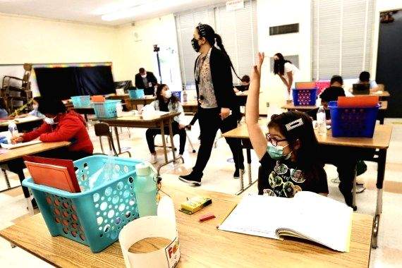 Aus researchers urge pandemic-proof education system - Vimarsana News