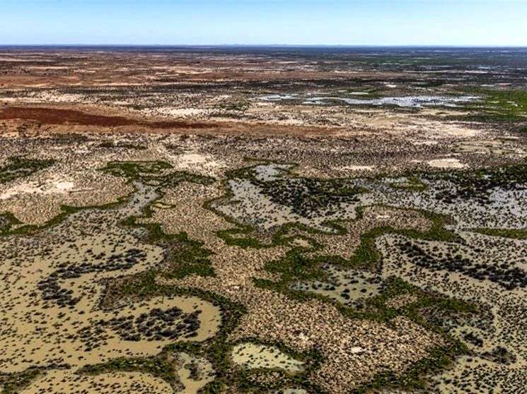 Aus state to list wetland as internationally protected site - Vimarsana News